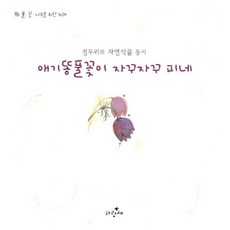 천기저귀애기똥풀