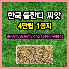 한국 들잔디 씨앗 대용량 4만립, 1개