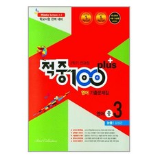 적중100플러스영어중3-2김성곤