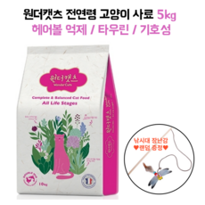 물어보기부끄러워