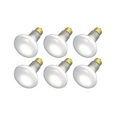 백열 전구 전등 인테리어 교체용 팩 6개 30R20 FL 120V 30와트 R20 플러드 E26 베이스 30W