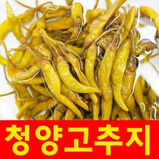 청양 고추지 500g 동치미 염장고추지 고추절임 고추무침 소금고추지 고추장아찌, 1봉