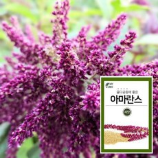 아마란200x