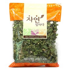 토끼발고사리