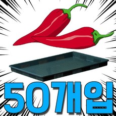 건조기에서 열변형이 없는 고추 건조용 채반 50개입 [미리준비]37EA