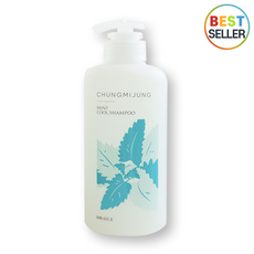 (본사정품) 청미정 박하 쿨 두피샴푸 500ml 1개 쿨샴푸 두피케어 쿨샴푸 최신제조, 500g
