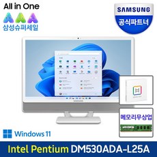 데스크탑dm530