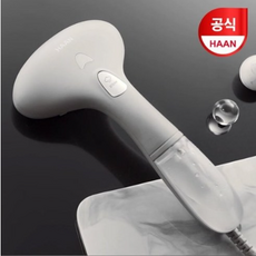 아이스티머스팀다리미