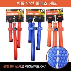 빅독치킨