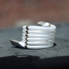 스네이크자석케이블