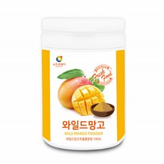 홍진영파우더