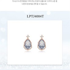 로이드실버귀걸이