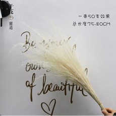 8a93988eb33f0127a157f7e626d754e8eea95c03f15f934d371cd6c1a146.jpg