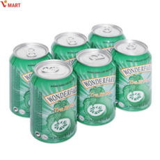 월드푸드 베트남 음료수 원더팜 윈터멜론 윈터메론티 WINTER MELON TEA, 310ml, 6개 - 반짝이는워터멜론lp