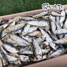 판도라프림로즈