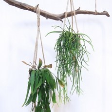 8dac9d4de0f0e2f8129521c8276a3e9550ce1e513b8867f07c6dbcda2338.jpg
