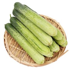 아삭아삭 백오이 3kg 5kg (사이즈 대~특) 개당250g내외, 3kg(10~12개), 1개