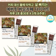 내장지방분해차