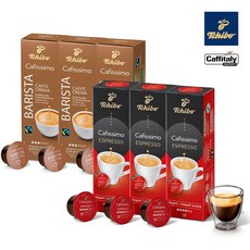 카피탈리시스템