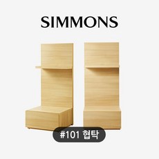 시몬스101