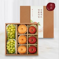 최고급 명품 혼합 과일 선물세트 [최고급 사과+배+샤인머스켓], 1세트, 샤인머스켓2과+사과3과+배3과
