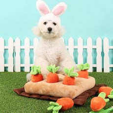 펫홀릭 노즈워크 당근농장, 없음, 1개