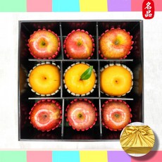 [물가안정] 고당도 프리미엄 과일 선물세트 9칸, 1박스, 애플망고3+오렌지6 혼합 약2.7kg
