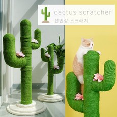 [30개 이벤트] 선인장 스크래쳐 캣타워 S (80cm), 스몰(S)