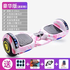 전동이륜평행차