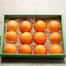 다온솔푸드솔브