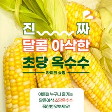 달콘초당옥수수