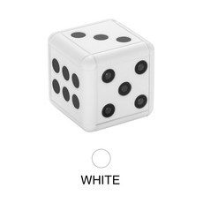 실시간연동초소형카메라