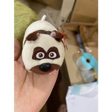 반려동물스노우볼