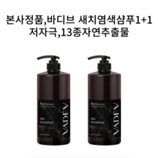 바디브 블랙 리커버리 새치 염색샴푸 1000ml X 2개 VADEV BLACK RECOVERY MIO SHAMPOO 저자극테스트완료 새치커버 흰머리 대용량