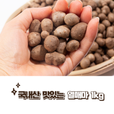 국내산 안동 열매마 1kg 2kg 3kg 4kg 5kg, 1세트