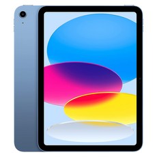 애플 아이패드 10세대 27.5cm WiFi 64GB _ 256GB (미국정품), 10세대 64GB-블루