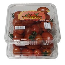 스테비아스윗토