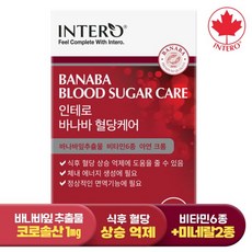 인테로 바나바잎추출물 식후 혈당상승 억제 1개 3개월분, 90정