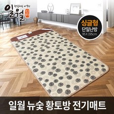 일월뉴숯