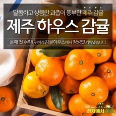 고당도머스크멜론