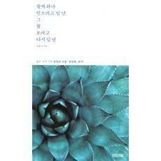 꽃씨 하나 얻으려고 일 년 그 꽃 보려고 다시 일 년:짧은 시의 미학 김일로 시집 송산하 읽기, 사계절