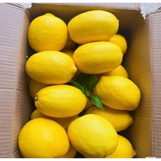 팬시레몬 수입산 상큼한 과즙 입안에 톡 터지는 괴즙, 1박스, 3kg