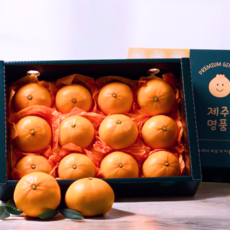 [백화점납품용] 명품 레드향 선물세트, 1박스, 5kg (가정용)
