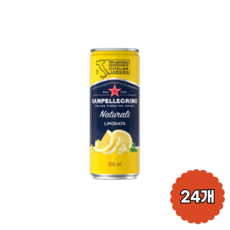산펠레그리노 아란시아타 오렌지 24개 200ml 상품 이미지