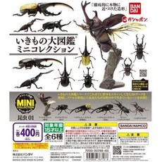  일본 반다이 생물 대도감 곤충 피규어 전6종 갭슐 토이 장수풍뎅이 헤라클레스 기라파노코 사, 생물 대도감 미니 컬렉션 곤충 01 전6종 