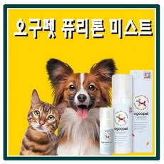 오구펫 미스트 강아지 고양이 피부 면역강화 각질 가려움 냄새 악취개선, 1개, 40ml