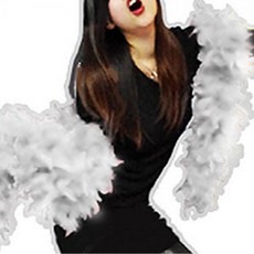 깃털숄