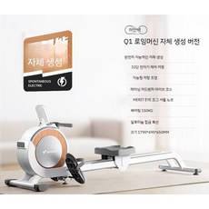 헤이스토어 가정용 전신운동 로잉머신 조정 노젓기