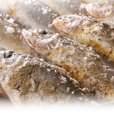 [인포벨]TV홈쇼핑정품 애드크로스 국내산 집밥한끼 영광 법성포 굴비 간편 생선 구이 조림 참조기 밥반찬