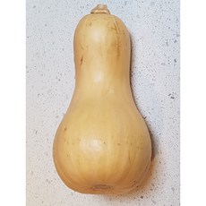 귀족호박 제주 땅콩호박 버터넛스쿼시, 1개, 3kg(2-5수)